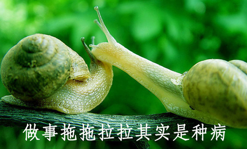拒絕拖延從今天開始，明天會更好(圖4)