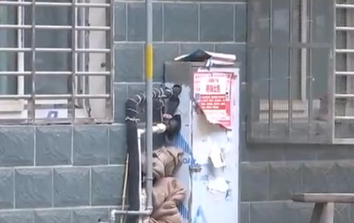 自來水管道保溫電伴熱帶，冬季管道防凍新寵(圖2)
